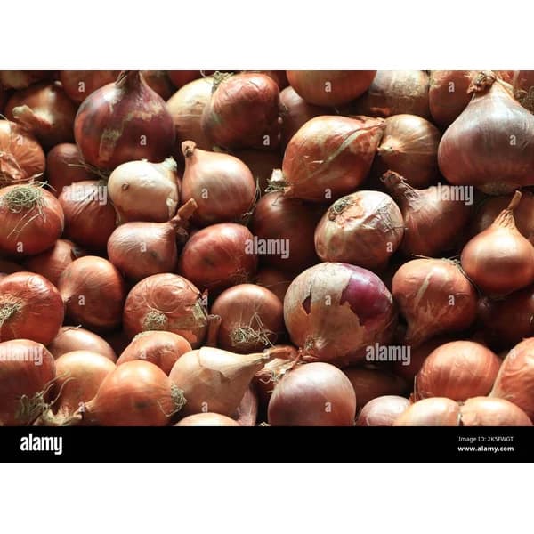 খোলা পিয়াজ | Open onion 🧅