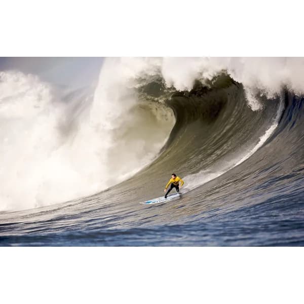 সার্ফ এক্সেল ৫০০ গ্রাম | Surf excel 500 gm